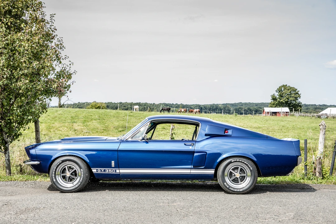 1967 Shelby GT350 - Image 22 of 31