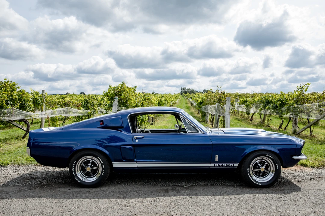 1967 Shelby GT350 - Image 15 of 31