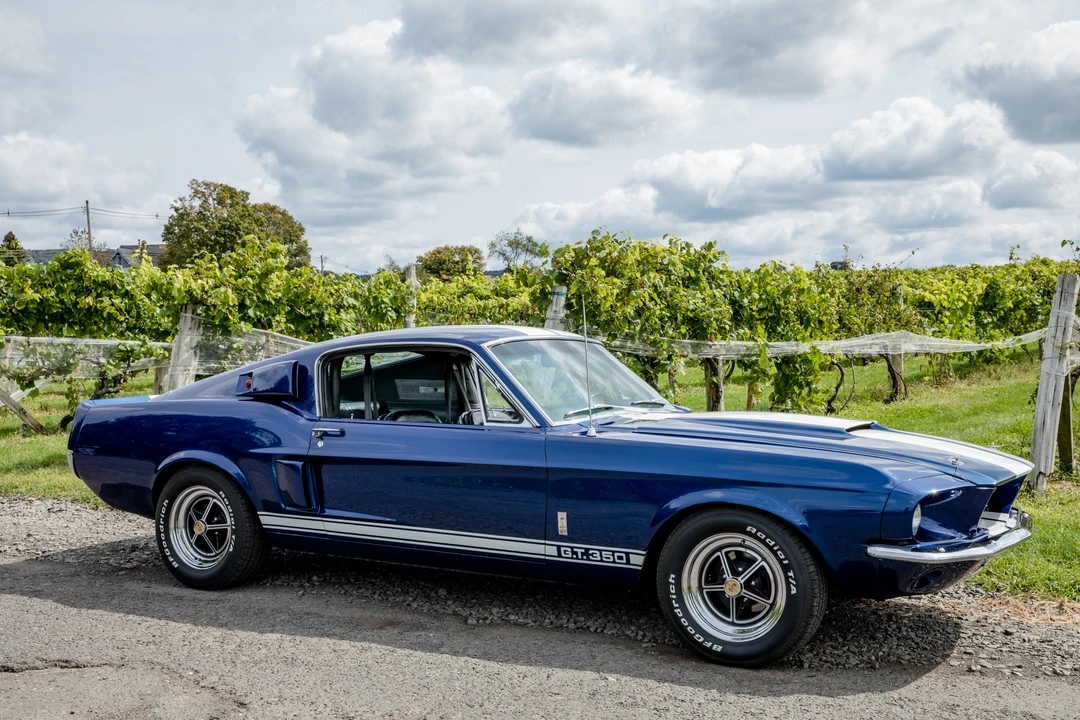 1967 Shelby GT350 - Image 14 of 31