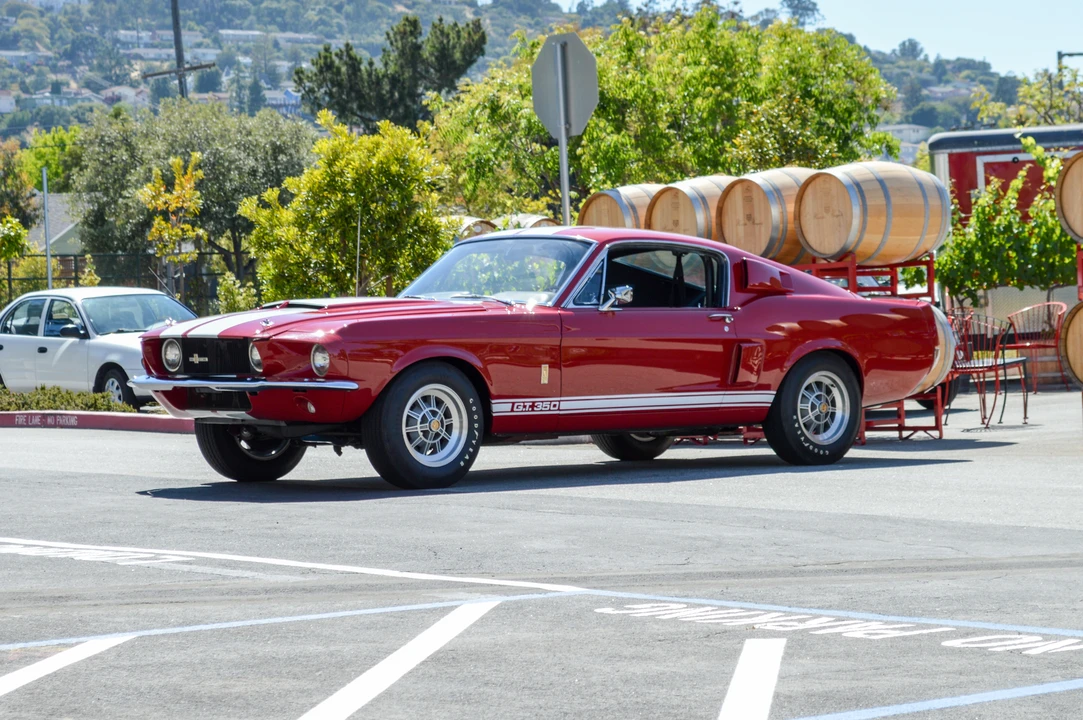 1967 Shelby GT350 - Image 8 of 31