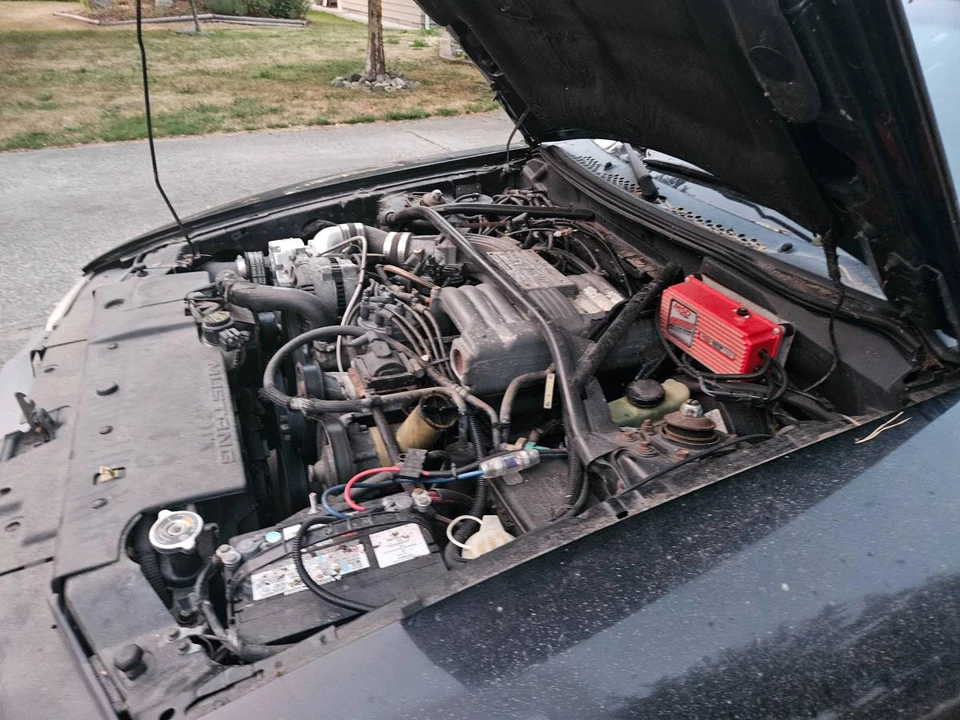 1995 Ford SN95 Mustang - Image 9 of 10