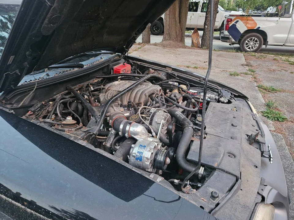 1995 Ford SN95 Mustang - Image 10 of 10