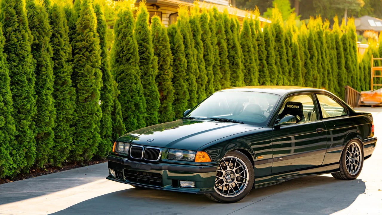 1999 BMW E36 M3 - Image 2 of 31