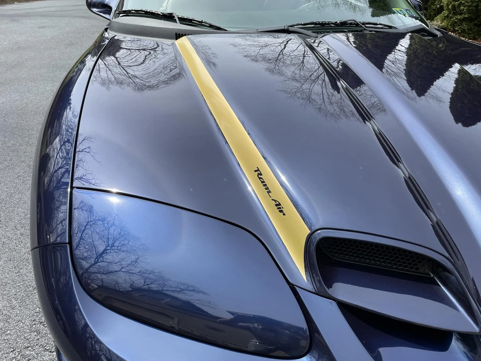 2002 Pontiac Firebird Trans Am 4th Gen - Image 15 of 31