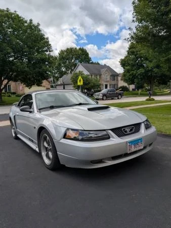 2003 Ford SN95 Mustang - Image 8 of 15