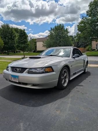 2003 Ford SN95 Mustang - Image 6 of 15