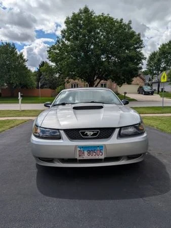 2003 Ford SN95 Mustang - Image 7 of 15