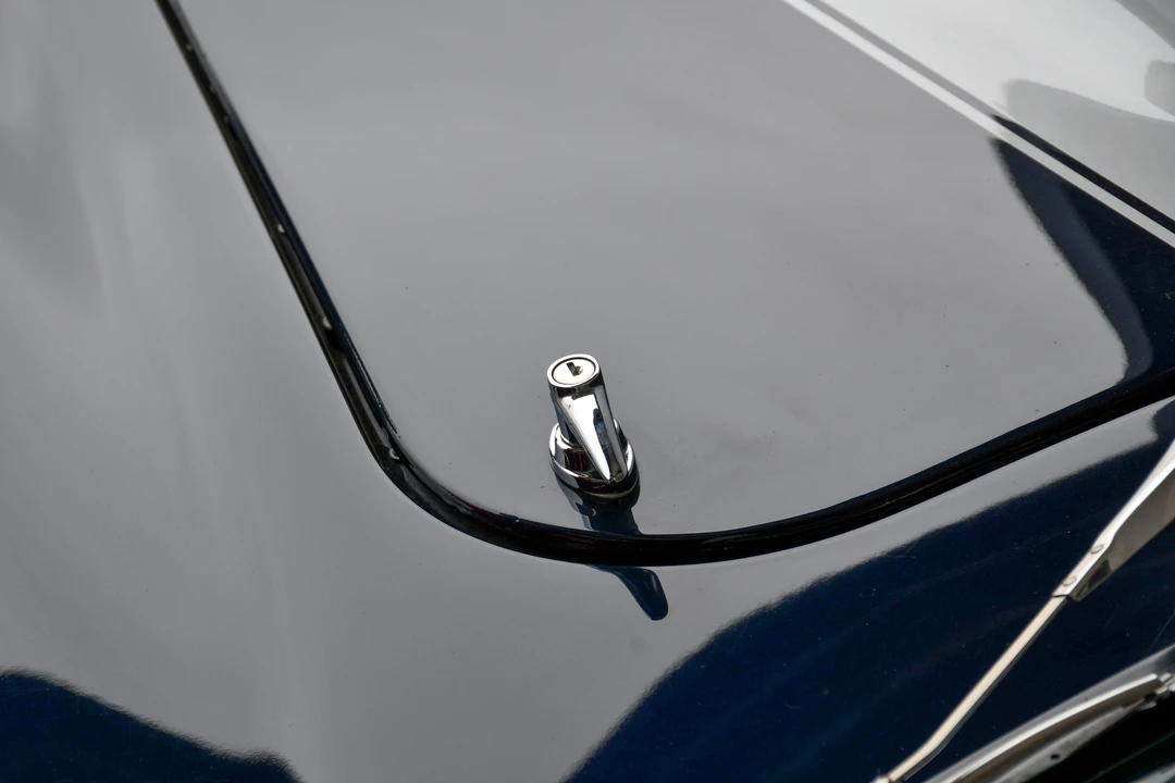 Shelby Cobra Replica - Image 21 of 31
