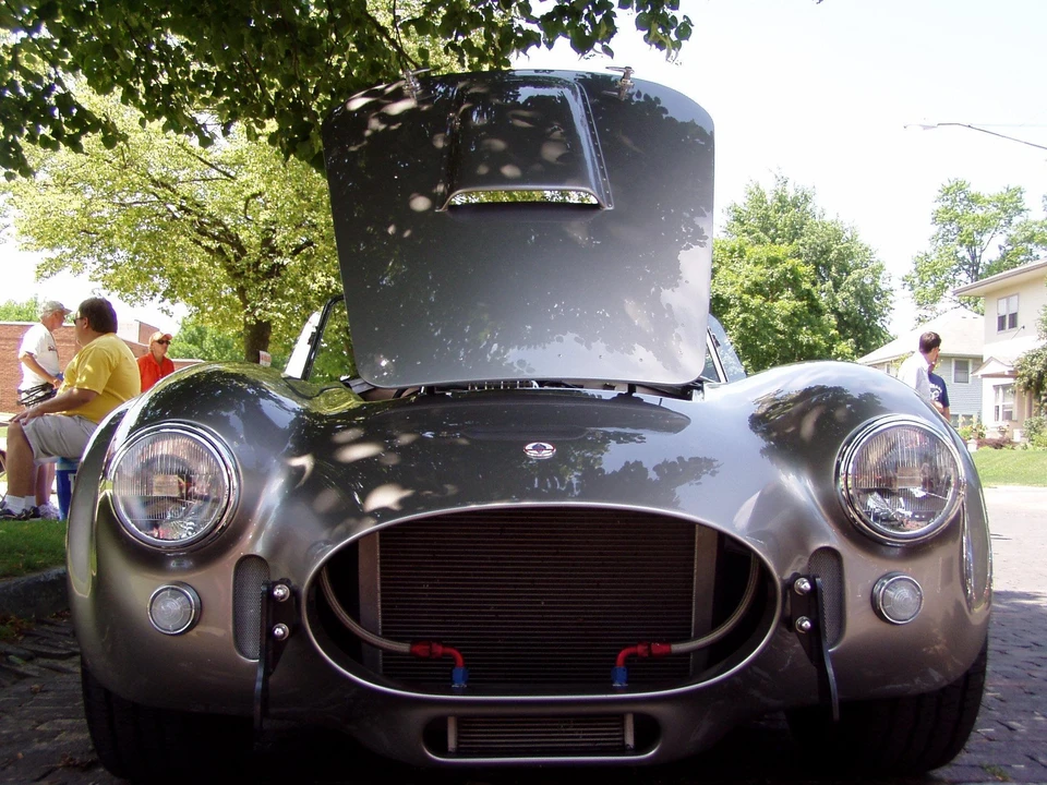 Shelby Cobra Replica - Image 20 of 31