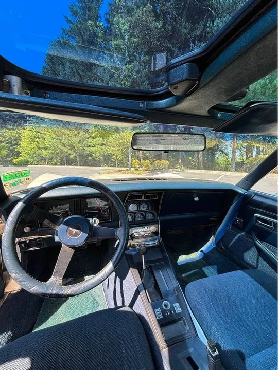 1981 Chevrolet Corvette C3 - Image 9 of 17