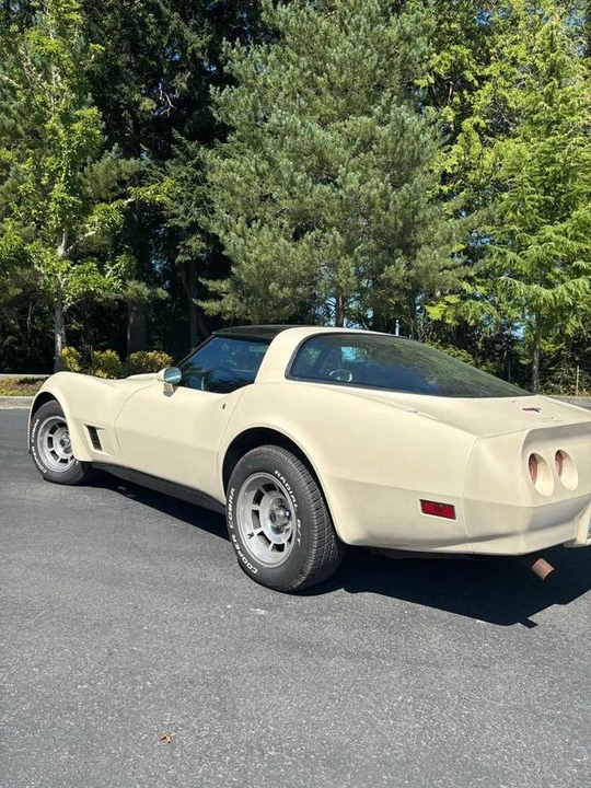 1981 Chevrolet Corvette C3 - Image 5 of 17