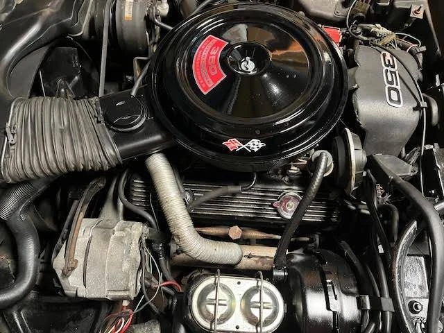 1981 Chevrolet Corvette C3 - Image 12 of 17
