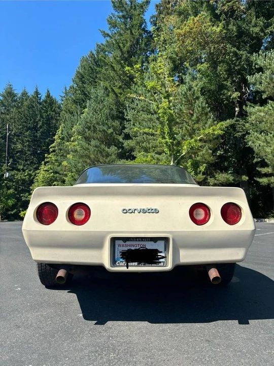 1981 Chevrolet Corvette C3 - Image 6 of 17