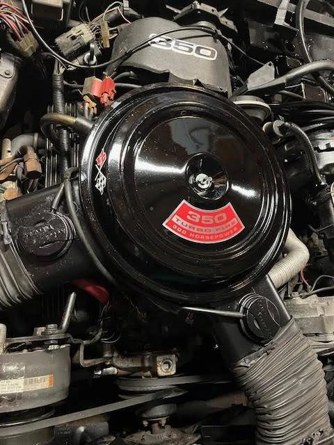 1981 Chevrolet Corvette C3 - Image 14 of 17