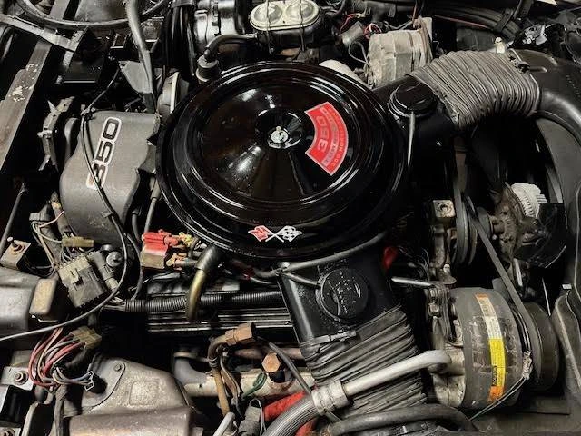 1981 Chevrolet Corvette C3 - Image 13 of 17