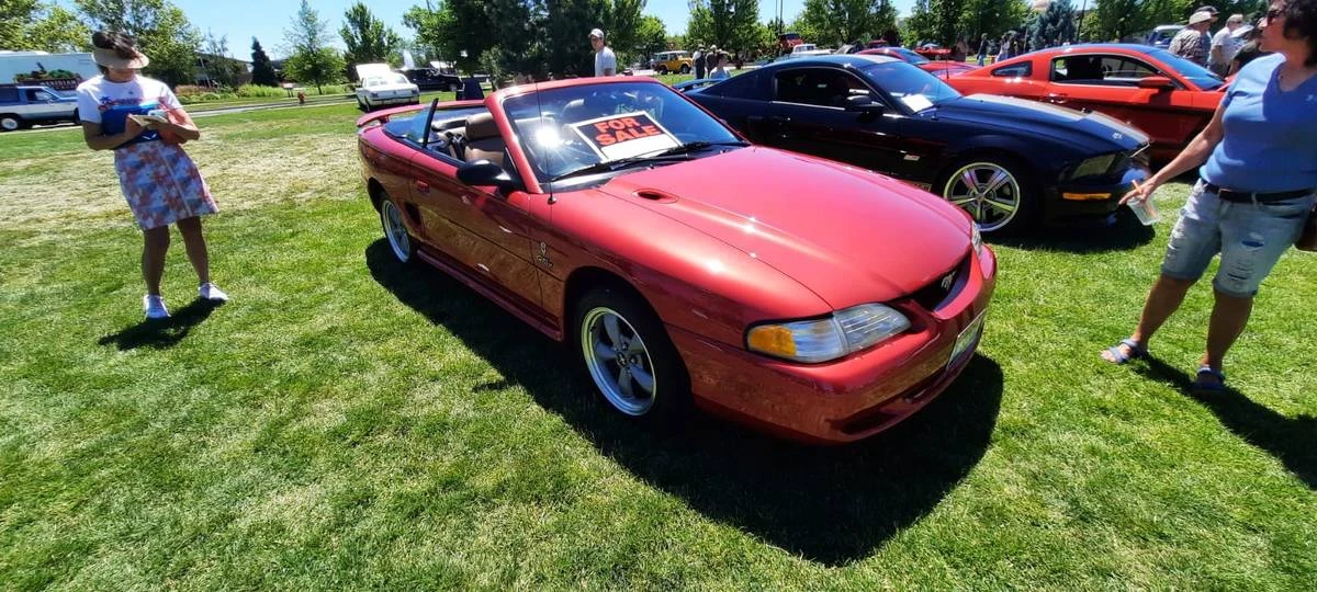 1996 Ford SN95 Mustang - Image 3 of 13