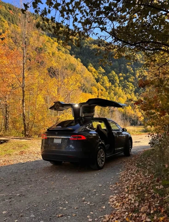 2018 Tesla Model X - Image 8 of 9