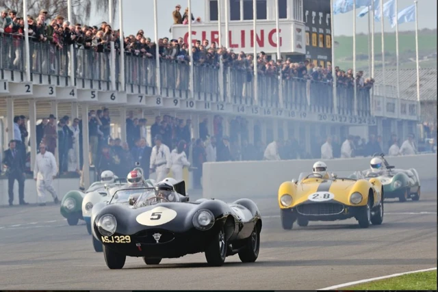 Jaguar D-Type - Image 6 of 31