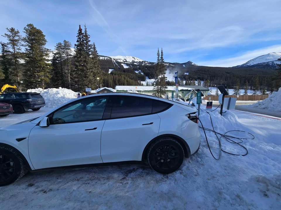 2021 Tesla Model Y - Image 4 of 10