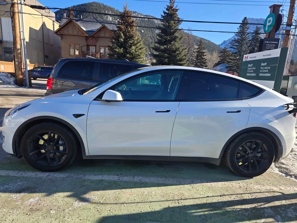2021 Tesla Model Y - Image 3 of 10