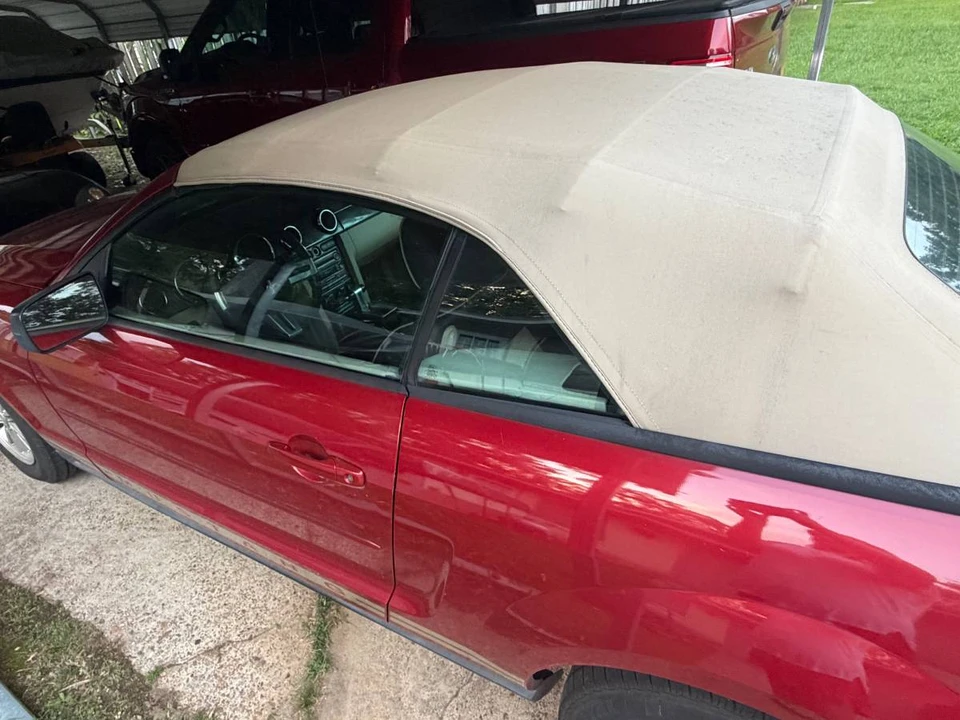 2008 Ford S197 Mustang - Image 14 of 14