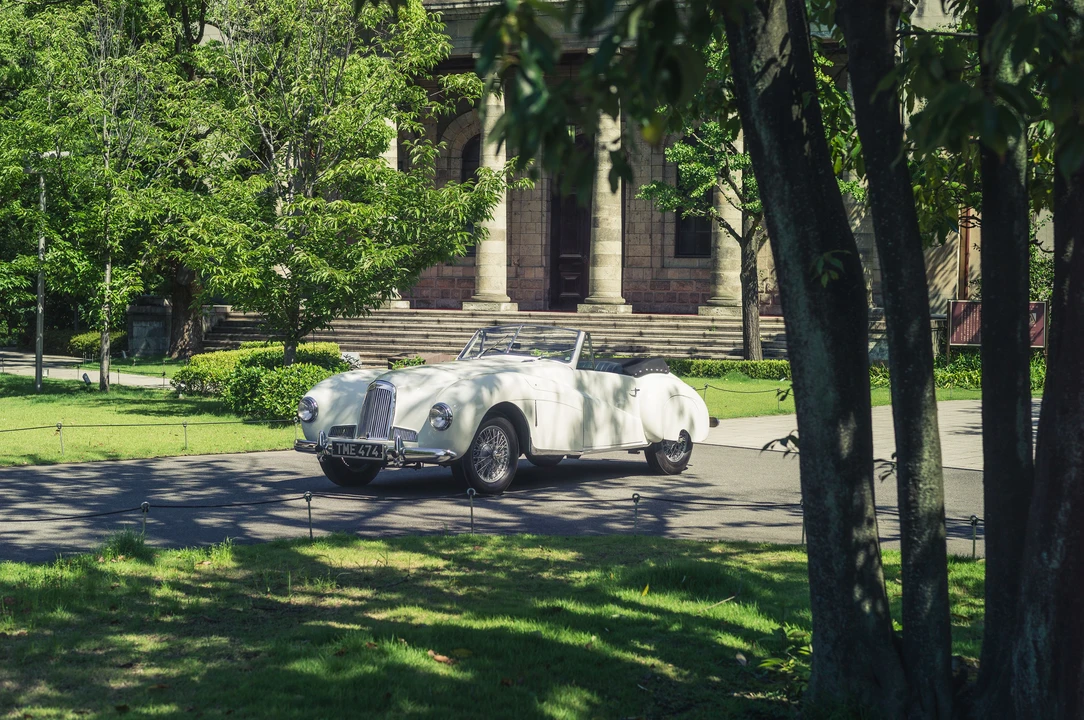 1948 Aston Martin DB1 & DB2 & DB2/4 & DB Mark III - Image 4 of 28