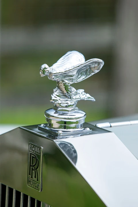 1954 Rolls-Royce Silver Dawn - Image 13 of 31