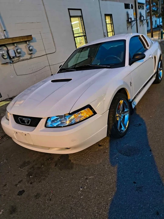 2002 Ford SN95 Mustang - Image 8 of 9