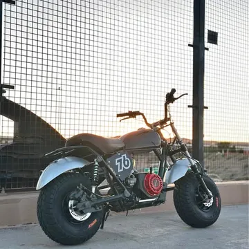Mini Classic Mini Trail Master Mini Bike