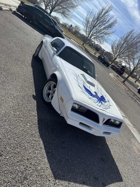 1978 Pontiac Firebird Esprit 2nd Gen - Image 30 of 31