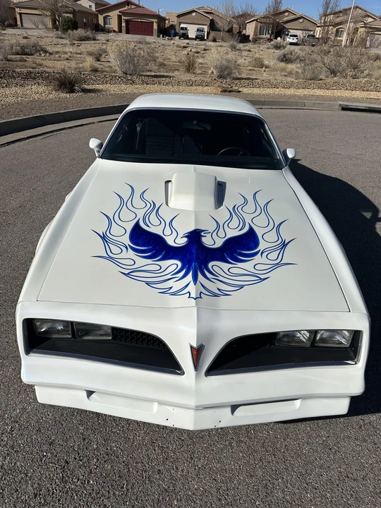 1978 Pontiac Firebird Esprit 2nd Gen - Image 8 of 31