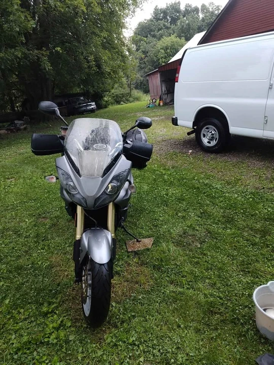 2010 Triumph Tiger (Triumph Motorcycles) - Image 2 of 8