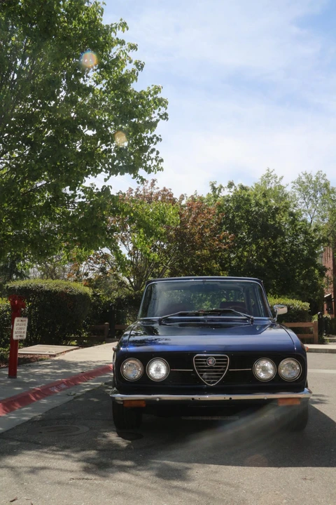 1973 Alfa Romeo 105/115 Series - Image 16 of 31