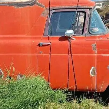 1959 Ford F-100 Pickup