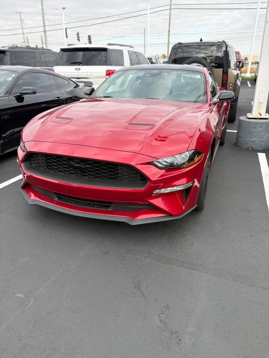 2009 Ford S197 Mustang - Image 2 of 5