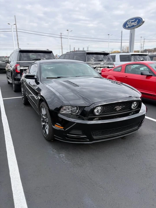 2009 Ford S197 Mustang - Image 3 of 5