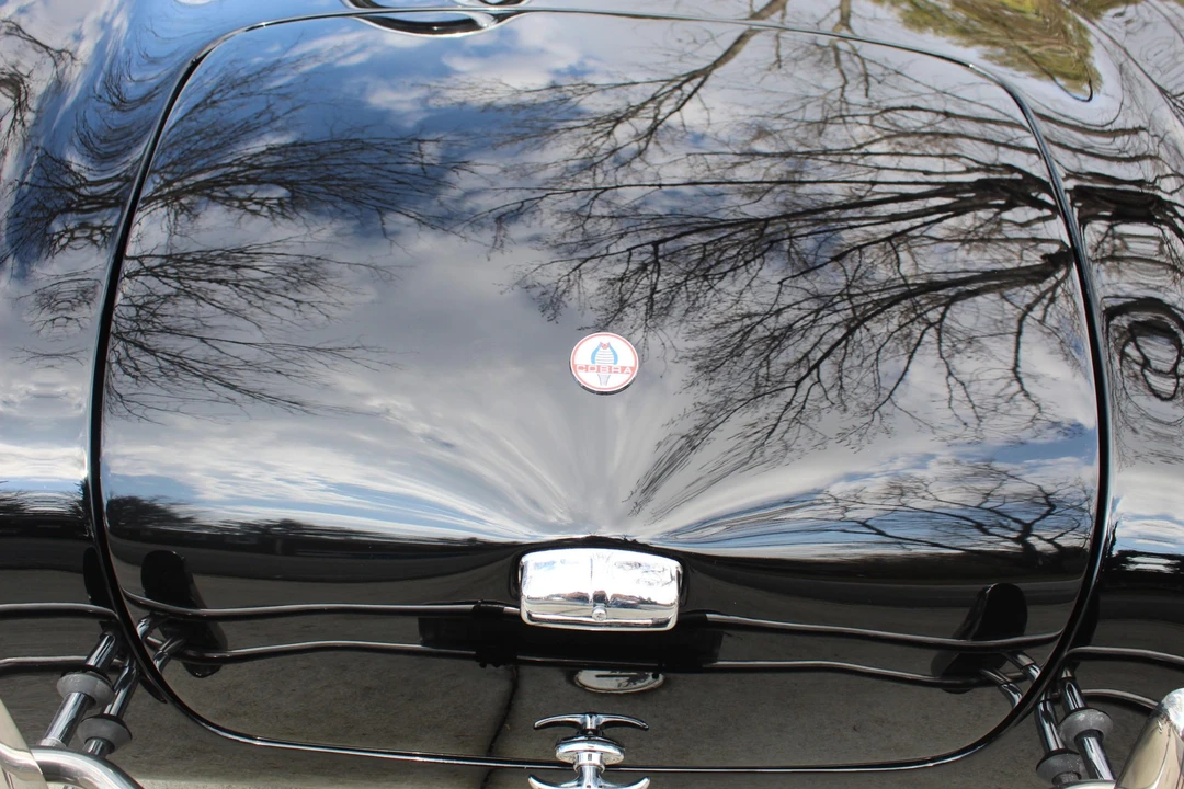 Shelby Cobra Replica - Image 21 of 31