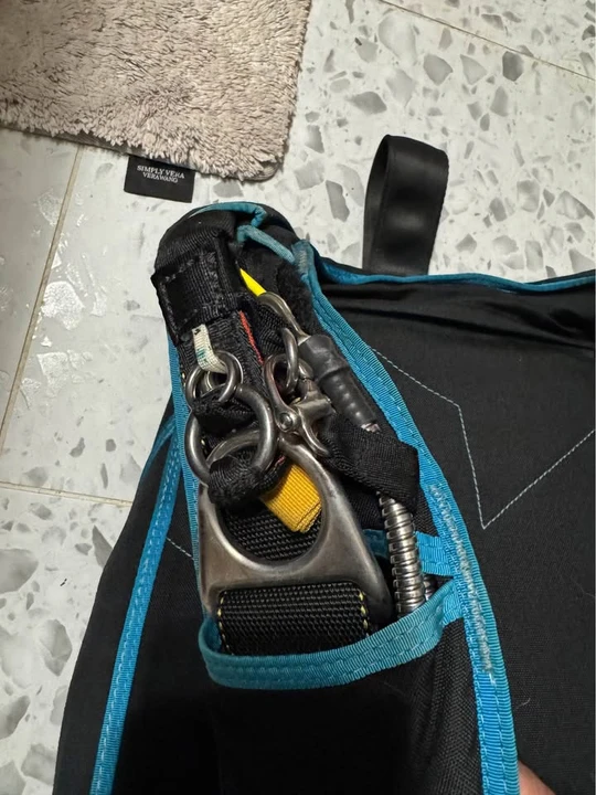 Vector - Image 6 of 8