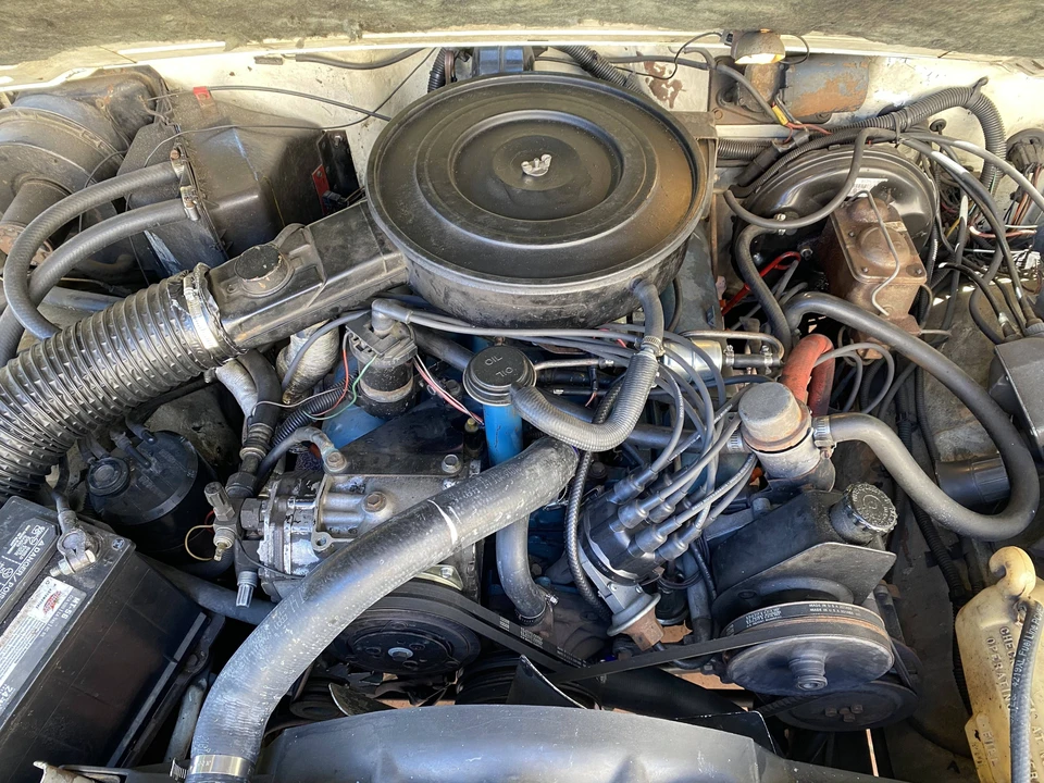 1979 Jeep SJ Cherokee - Image 3 of 11