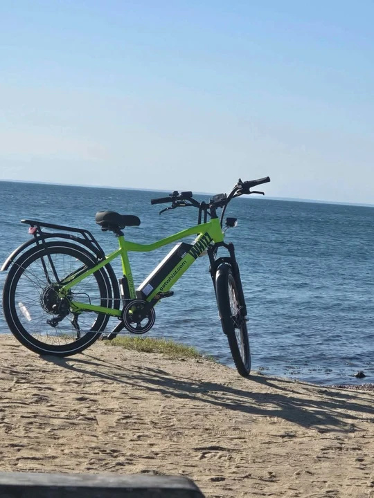 Whizzer - Image 2 of 10