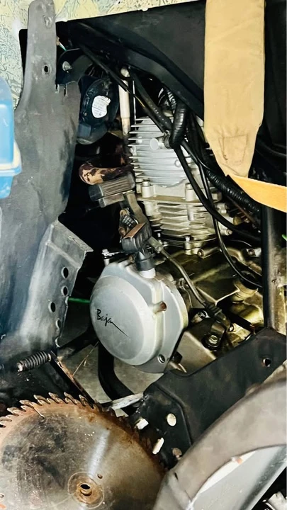 Polaris - Image 5 of 5