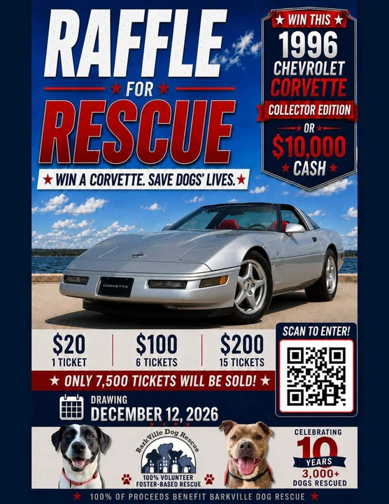 1996 Chevrolet Corvette C4 - Image 3 of 9