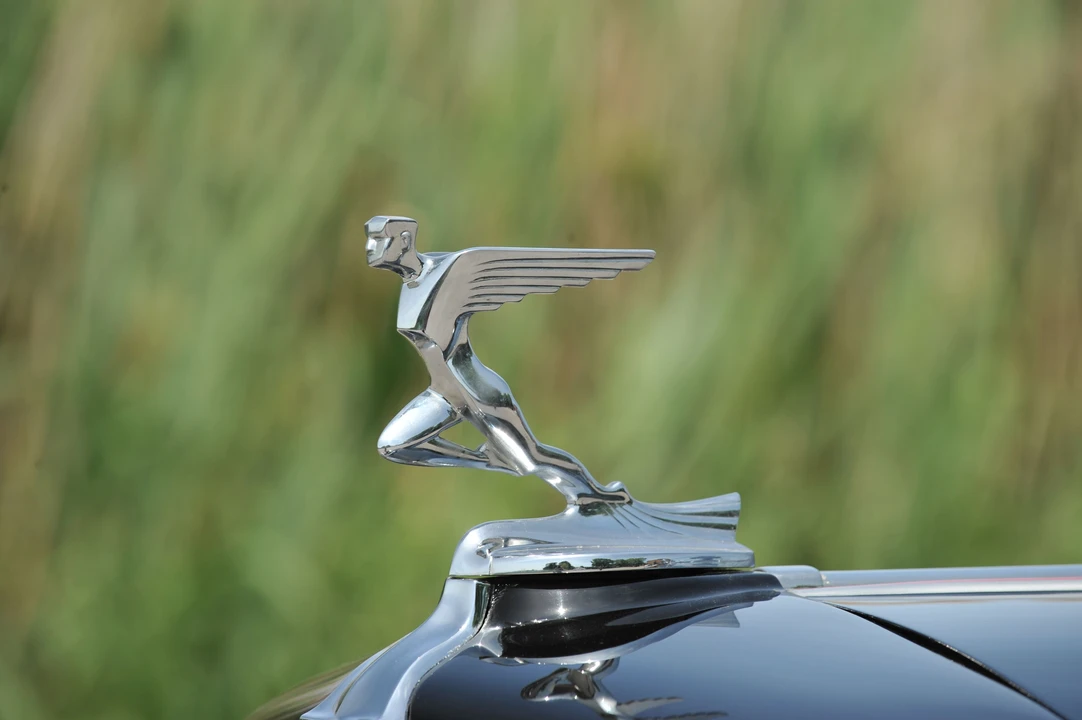 1932 Auburn Twelve - Image 15 of 24