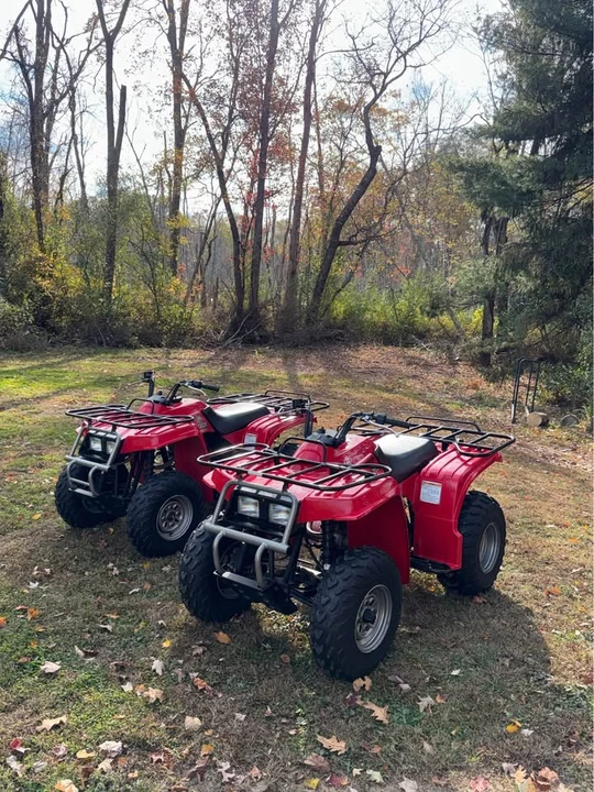 Yamaha ATV - Image 2 of 7
