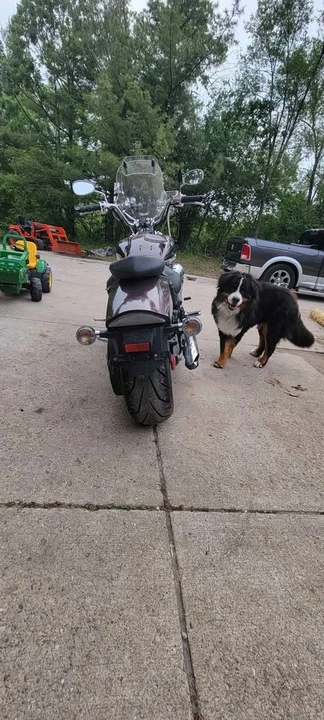Yamaha V-Max - Image 4 of 10