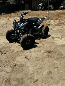 Yamaha rapter 250 special Edition 2008