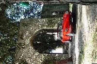 1968 Ferrari 330 GTC & GTS - Image 4 of 6