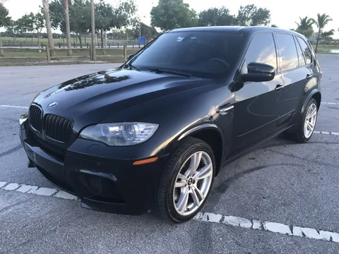 2010 BMW X5 M