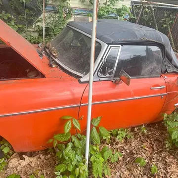 MG Midget