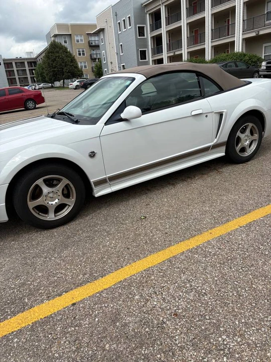 2004 Ford SN95 Mustang - Image 3 of 10